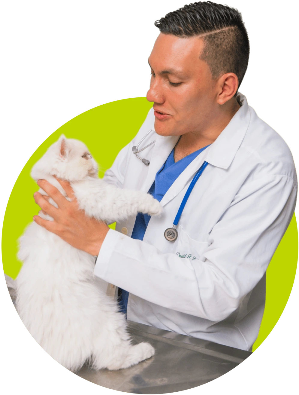 Doctor